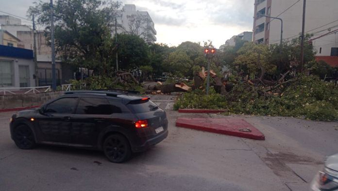 Tormenta en Córdoba Árboles postes carteles caídos y barrios sin luz