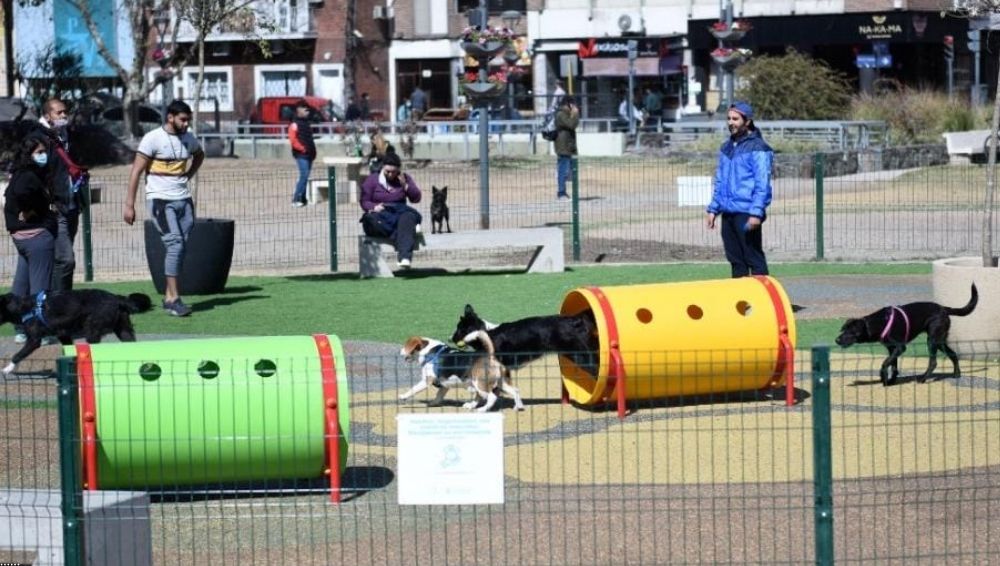 Con juegos, los perros se “divierten” en el primer canil de la ciudad <  Municipalidad de Córdoba