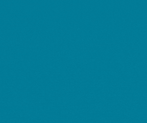 spot_img