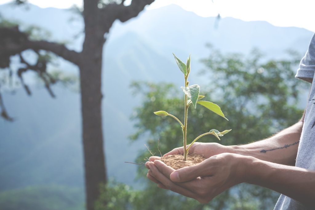 ¡Celebremos la semana del medio ambiente cuidando el agua!