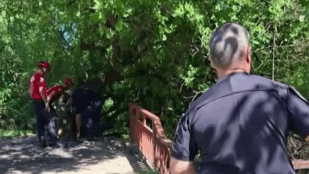 Identificaron los restos hallados en bolsas en barrio General Urquiza de Córdoba