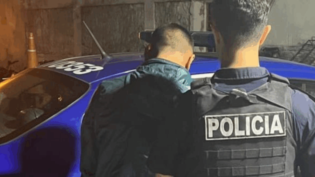 La Policía montó un operativo y detuvo al camionero, un joven de 25 años, a quien le secuestraron el vehículo y un arma de aire comprimido.