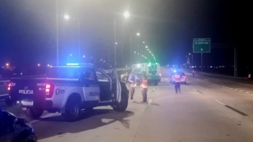 La víctima tenía 32 años y habría intentado cruzar la calzada a la altura del kilómetro 34, en barrio Industrial Oeste.