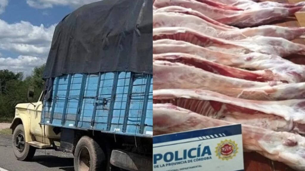 Los atraparon robándose 32 cabritos y un lechón en un camión