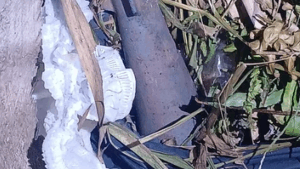 El objeto fue detectado a tiempo durante la recolección nocturna y permitió evitar un incidente. Especialistas confirmaron luego de qué se trataba