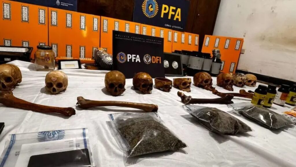 El hallazgo se produjo en una vivienda vinculada a una causa por cultivo ilegal de cannabis. Secuestraron plantas, dinero y restos óseos. La Justicia federal investiga el origen de los cráneos y no hay detenidos.