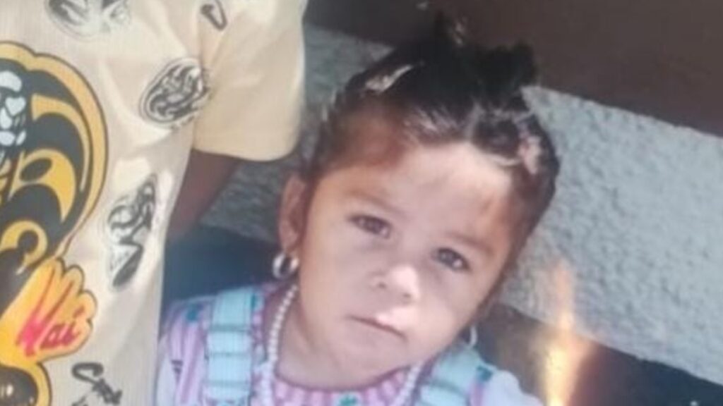 La Justicia ordenó peritar dispositivos del entorno familiar de la niña desaparecida. También investigan un llamativo hallazgo en la vivienda y continúan los operativos en todo el país.