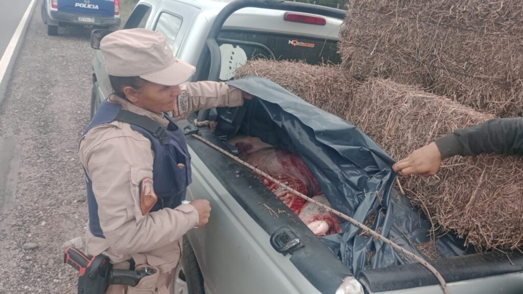 Los procedimientos se realizaron en distintos puntos de la provincia. Hubo aprehendidos por delitos y contravenciones, incautación de vehículos y elementos ilegales, y rescate de animales en mal estado.