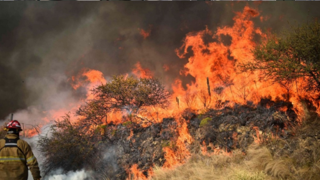 Incendios forestales: el impacto que tienen en el agua de Córdoba